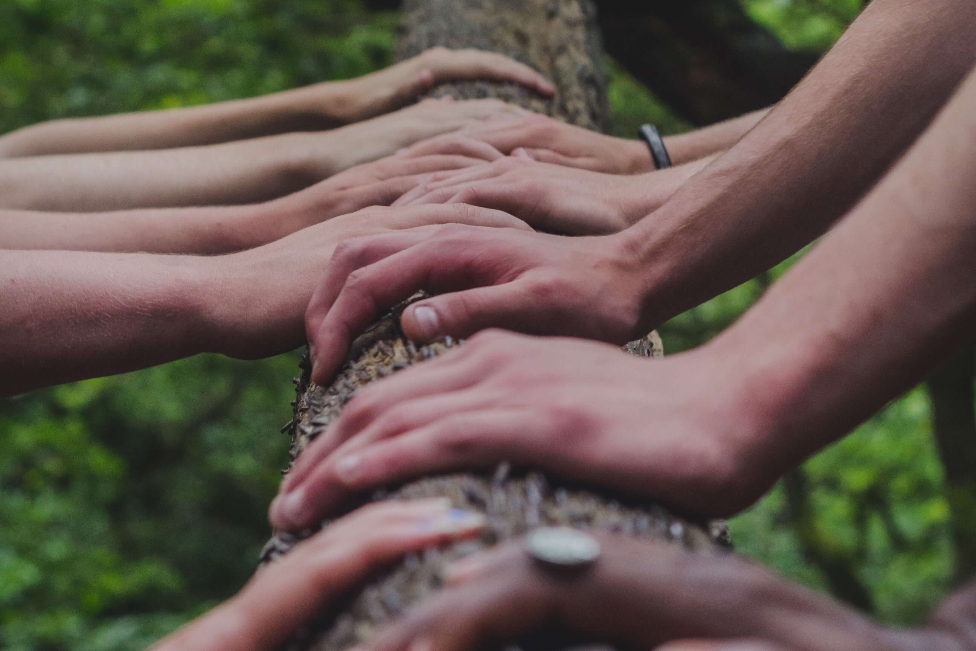 Mani su albero - Consulenza ESG 1