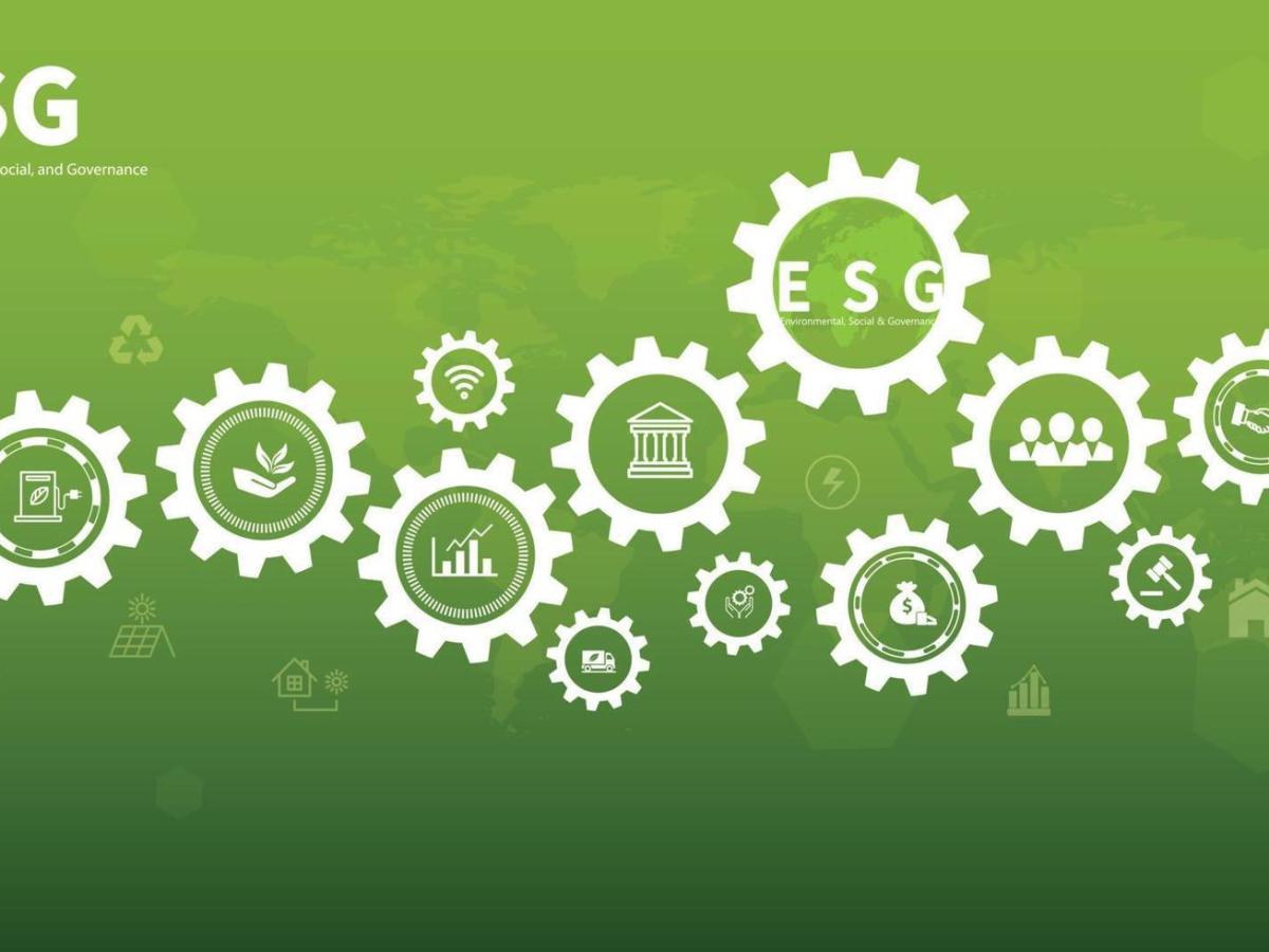 La sostenibilità come leva strategica: 5 motivi per cui conviene alle PMI 